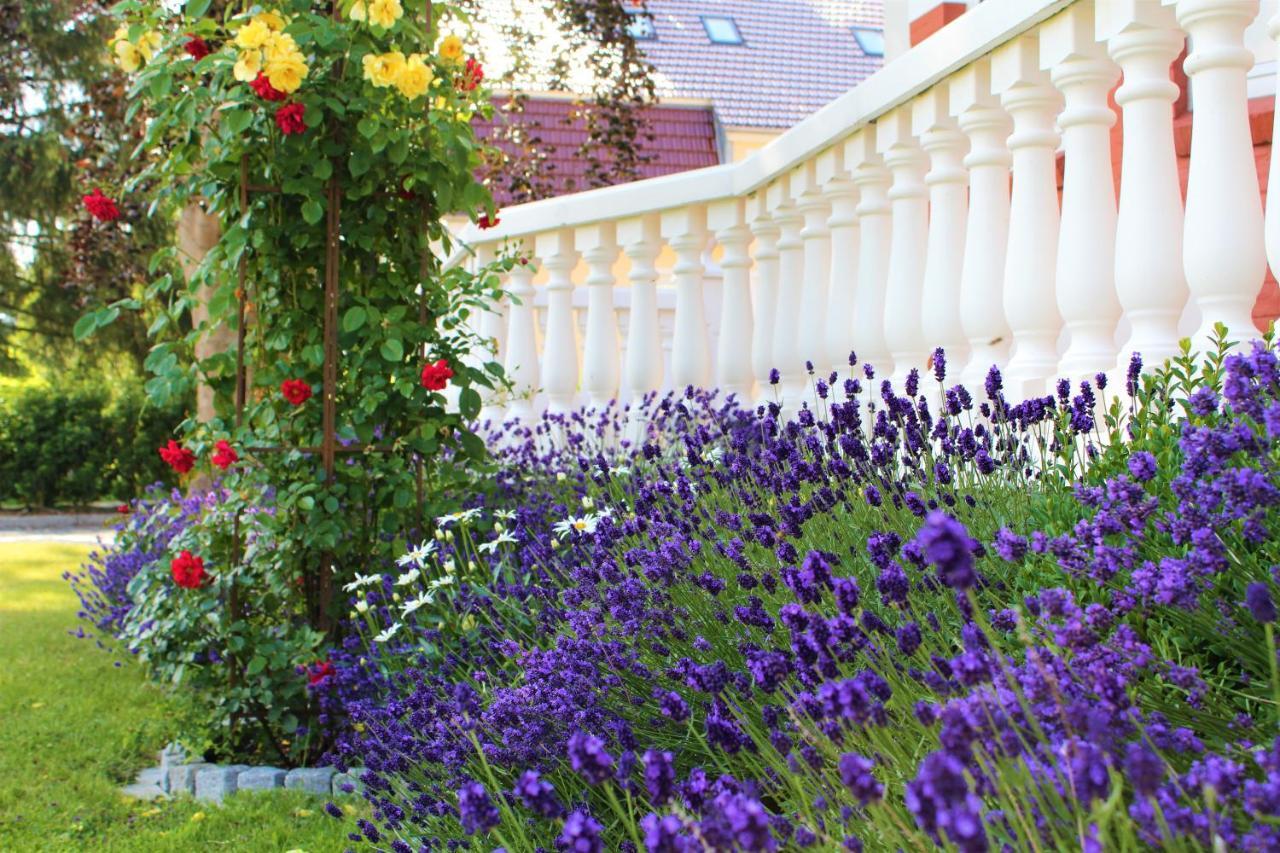 Rosen Villa كابلن المظهر الخارجي الصورة